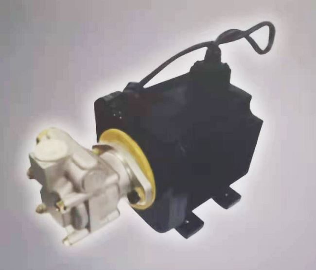 electric steering fuel pump
