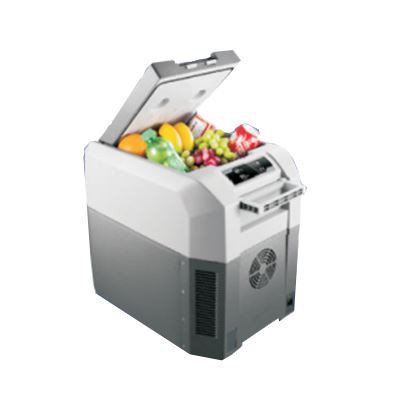 Mini mobile refrigerator for RV