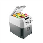 Mini mobile refrigerator for RV