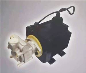 Electric Steering Fuel Pump