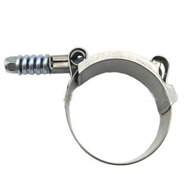 T-Bolt Heavy Duty Clamp with Small Spring